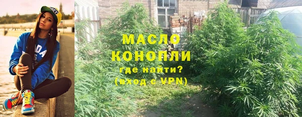 твердый Заводоуковск