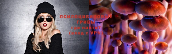 стаф Зеленодольск