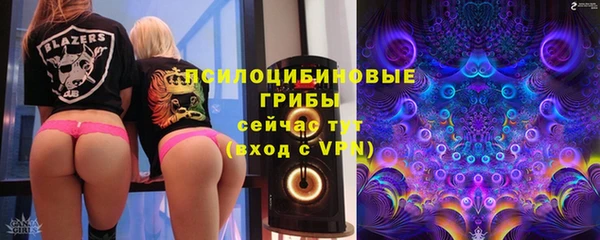 стаф Зеленодольск