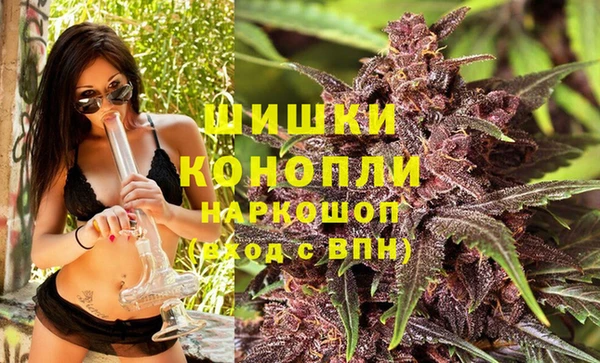 стаф Зеленодольск