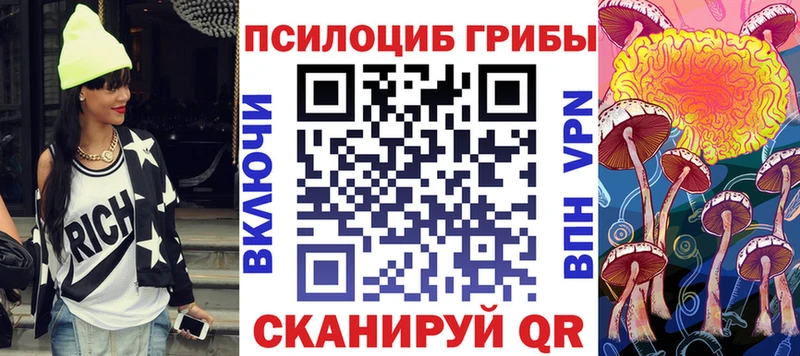Псилоцибиновые грибы MAGIC MUSHROOMS  где купить наркоту  Мурманск 