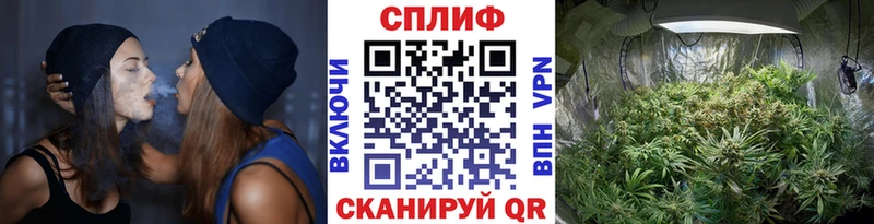 где можно купить   Мурманск  Бошки Шишки AK-47 